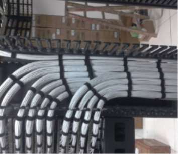 �W�j��������Ĺ�������